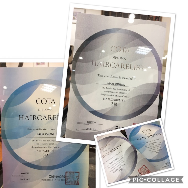 No.46 COTAのケアリスト証